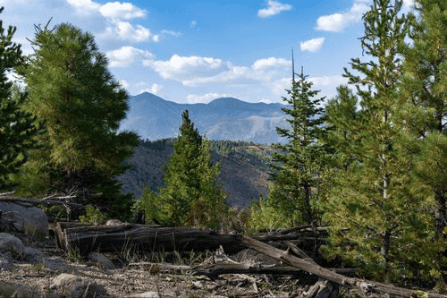 title loans in flagstaff arizona