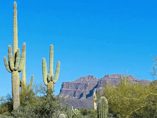 Title Loans in Surprise Title loans in Surprise, AZ