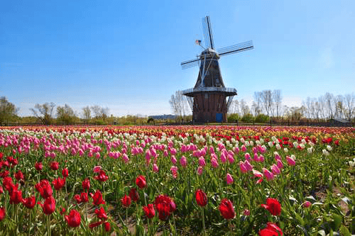 Title Loans in Holland, Michigan Title Loans in Holland, Michigan