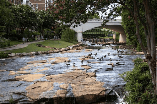 How to Get ChoiceCash Title Loans in Goose Creek, SC Geese at downtown river in Goose Creek in South Carolina
