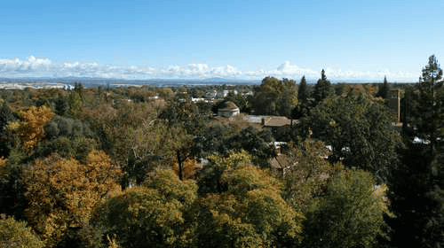 Emergency cash solutions through title loans for people located in Chico California.